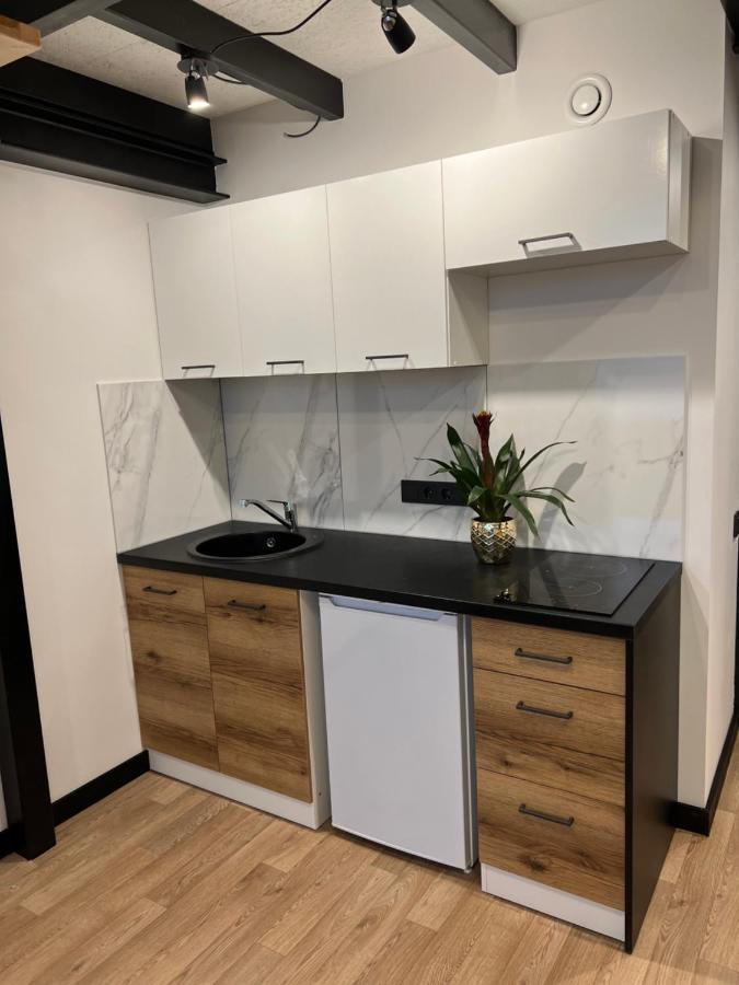Respublikos Loft Forentinn Panevėžys Buitenkant foto